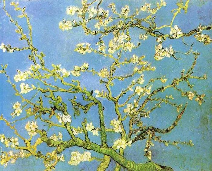 Vincent Van Gogh Blossomong Almond Tree Spain oil painting art